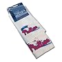 Philadelphia Phillies Kitchen Towel Combo