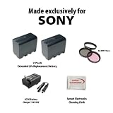 Buy 2 Pack Of Li-Ion Extended Life Replacement Battery for Sony NP-F970 NP-F960... by Sunset