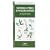 Georgia Trees & Wildflowers: An Introduction to Familiar Species (State Nature Guides)