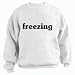 freezing Youth Sweatshirt (for Kids) Various Colors Available