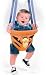 Toys : The First Years Disney Baby Bouncing Tigger Seat