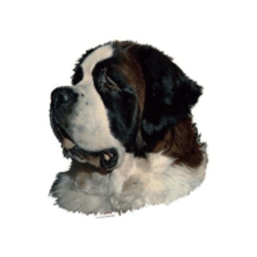 World Stickers Schwandt Heimtierbedarf 12029 Aufkleber 4 St&uuml;ck ca. 80 x 80 mm f&uuml;r Warnschi Preisvergleich