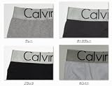 Calvin KleinカルバンクラインSteel