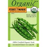 Ferry-Morse 3162 Organic Bean Seeds, Bush Blue Lake 274 (35 Gram Packet)