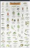 Good/Bad Garden Bugs (Mac's Guides (Charts))