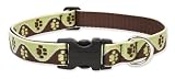 Mud Puppy - Lupine Adjustable Collars Large 1 in. x 12 in. - 20 in.