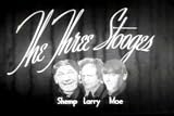DVD : The Three Stooges in Classic Movie Comedies: Malice in the Palace DVD (1949) Starring Shemp Howard, Frank Lackteen, George Lewis, Vernon Dent, Moe Howard, and Larry Fine.
