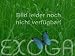 Ananas Guave Acca sellowiana Samen