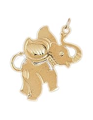 Dazzlers Solid 14k Gold Elephant Charm Pendant Available in three colors from jewelsberry (weights: 1.7 grams only)