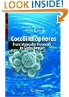 Coccolithophores: From Molecular Processes to Global Impact