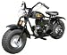 Yerf-Dog MiniBike<br />5hp Tecumseh OHV Minibike, 20x7-8 Tires Rear band brake, suspension seat, heavy frame, headlight