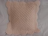 Pink Velvet 16' x 16 Dec Pillow