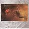 The Greatest Cocteau Twins Albums