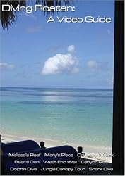 Diving Roatan; A Video Guide