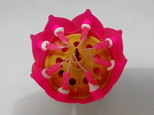 JKing Amazing Musical Happy Birthday Candle (Pink+Red+Blue)