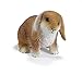 Schleich Dwarf Lop