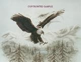 Eagle Spirit - Drawing by Cindy Farmer