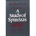 A Study of Spinoza's Ethics