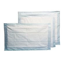 Hospeco At Ease HS-350 23-Inch by 36-Inch Standard Underpads (6 Packs of 25)