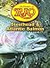 Sporting Goods : Rio 9ft Knotless Steelhead & Atlantic Salmon 16lb Leader