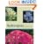 Hydrangeas: A Gardener's Guide