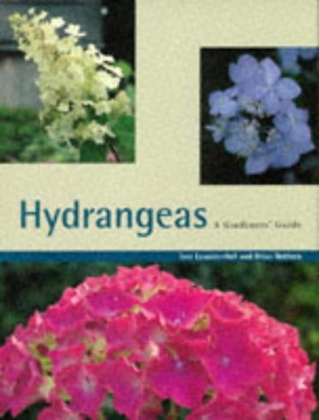 Hydrangeas: A Gardener's Guide
