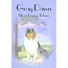 Gray Dawn