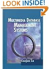 Multimedia Database Management Systems (Computing Library)