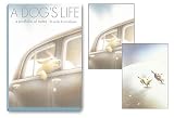 A Dog`s Life Notecard Portfolio