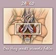 Das Herz macht niemals Fehler. CD