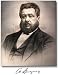 CH Spurgeon Library With 3000 Sermons With Bible Commentary (Metropolitan Tabernacle ...
