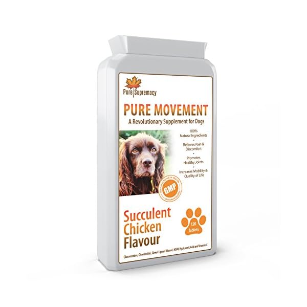 Revolutionary Dog Joint Supplements Relief from Stiff, Arthritic