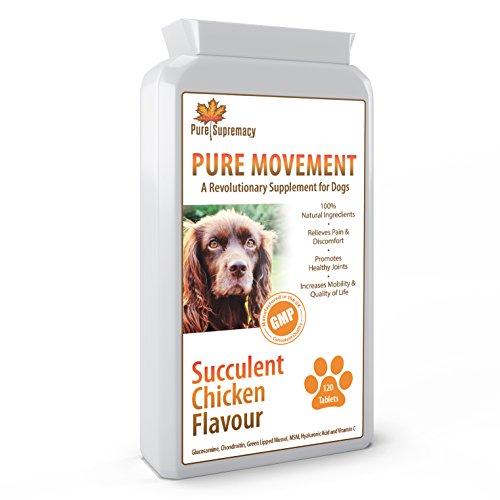 Revolutionary Dog Joint Supplements Relief from Stiff, Arthritic