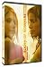 South of Nowhere- Season 2 (3 Disc Set)