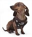 Snowflake Vest Harness for Dogs by Puppia - Brown - MD (14.5"-16" girth)