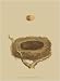 Antique Nest Egg III by Unknown. Size 6.93 inches width by 5.30 inches height. High Q...