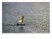 Sailing Pirogue in Mozambique Channel, Antsiranana, Madagascar Art Photographic Poster Print by Karl Lehmann, 16x12