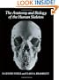 The Anatomy and Biology of the Human Skeleton