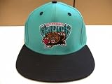 NBA Memphis Grizzlies Teal 2 Tone Snapback Cap Vancouver