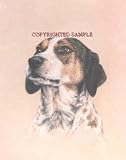 German Shorthair - Portrait by Cindy Farmer