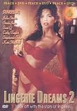 Lingerie Dreams, Vol. 2