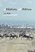 A History of Africa
