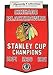Chicago Blackhawks Felt Championship Banner