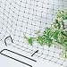 Tools & Hardware : Bird Control - Park's Anti-Bird Net