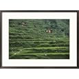 Yang River Canyon, Shaoguan area, Guangdong Province, China Places Framed Art Poster Print by Raymond Gehman, 29x21