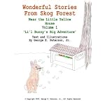 Wonderful Stories From Skog Forest: Near the Little Yellow House Volume 1 'Li'l Bunny's Big Adventure' book cover