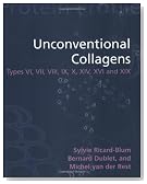 Unconventional Collagens: Types VI, VII, VIII, IX, X, XII, XIV, XVI and XIX