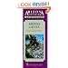 Arizona Cactus: A Guide to Unique Varieties (American Traveler)