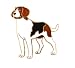 Hand enameled beagle dog brooch or pin