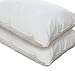 Italian Collection European Comfort 100% Hypoallergenic Slumber Down Alternative Bed Pillows, Queen (Set of 2)